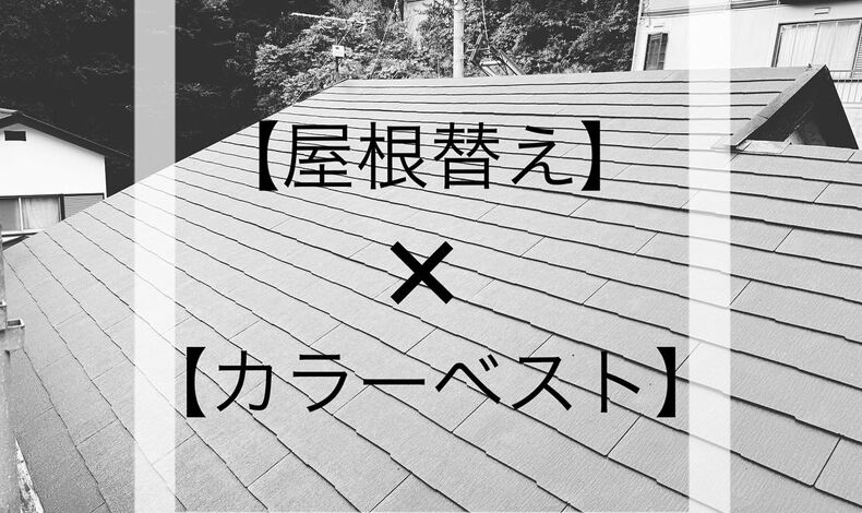 画像1468：《お久しぶりです🙇🏻》