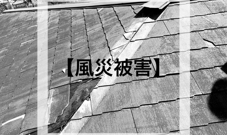画像1484：《風災被害🌪️》